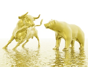 Bull VS. Bear